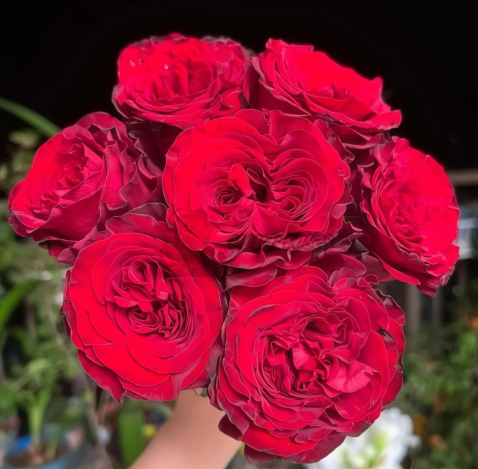 May