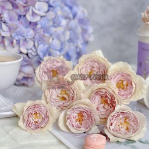 Milky Pearl