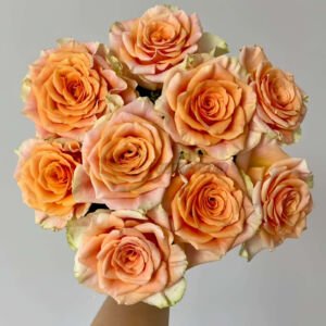 Peach X Pression l 爆炸蜜桃/爆汁蜜桃