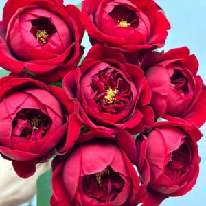 Peony Red