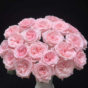 Pink O’Hara
