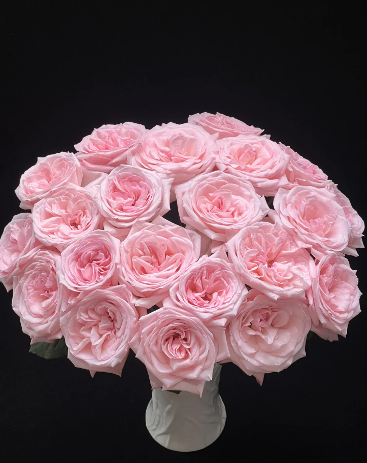Pink O’Hara