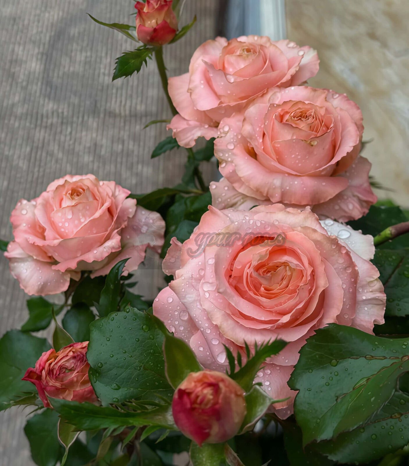 Princess Crown