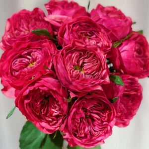 Romantic blood