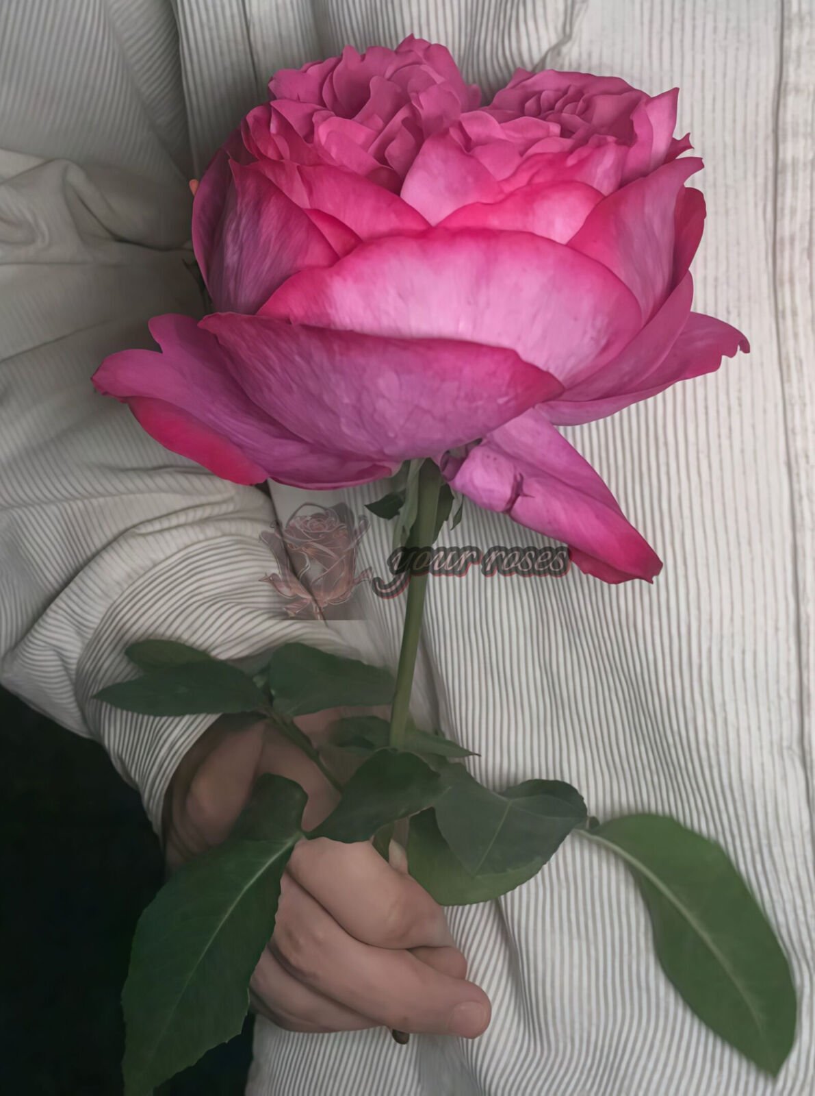 Rouge de Parfum