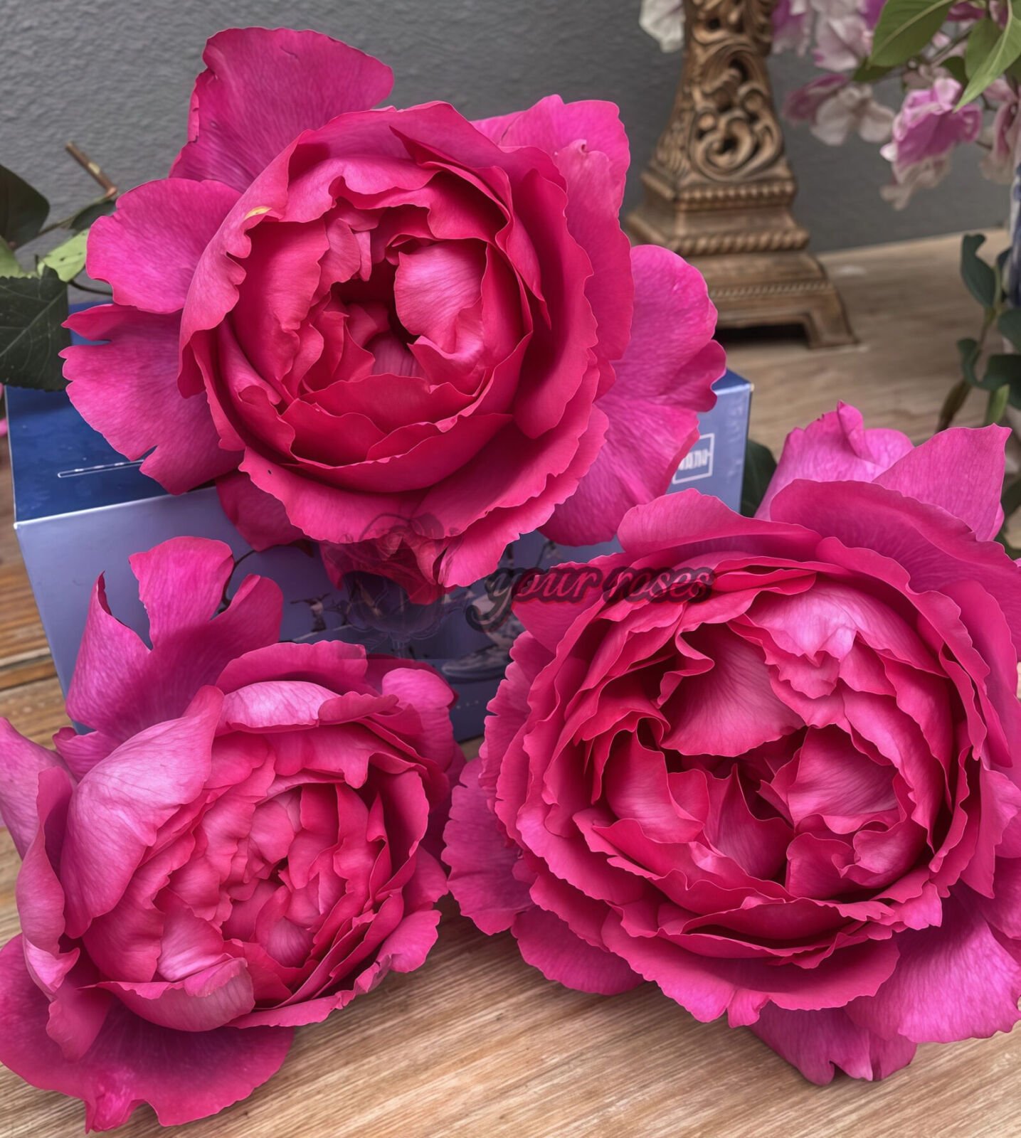 Rouge de Parfum