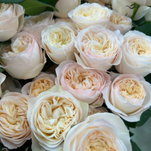 Royal Romance