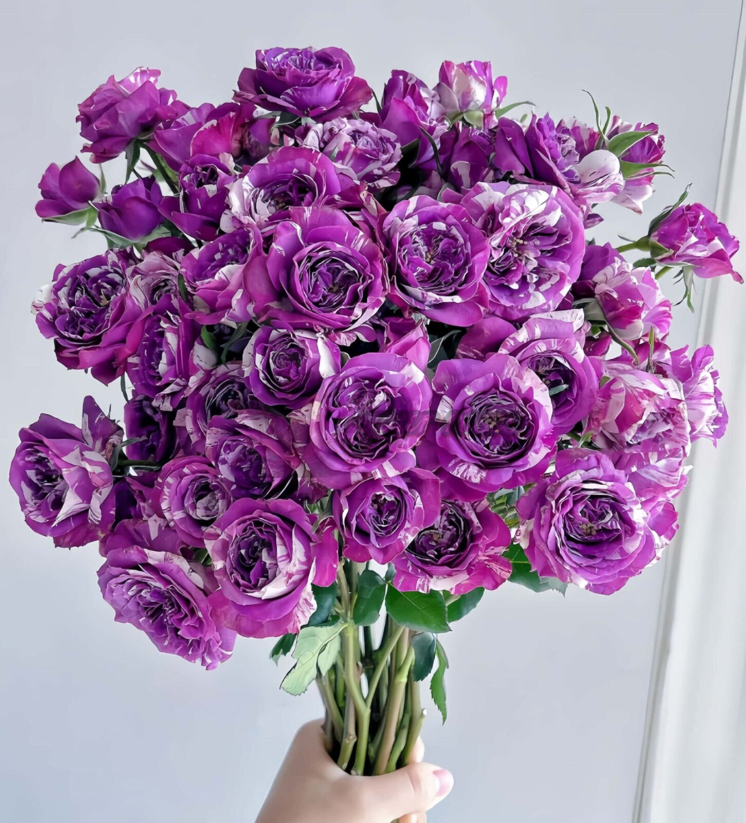 Scented Jewel