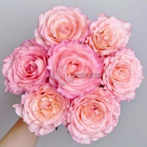 Spring Ballet