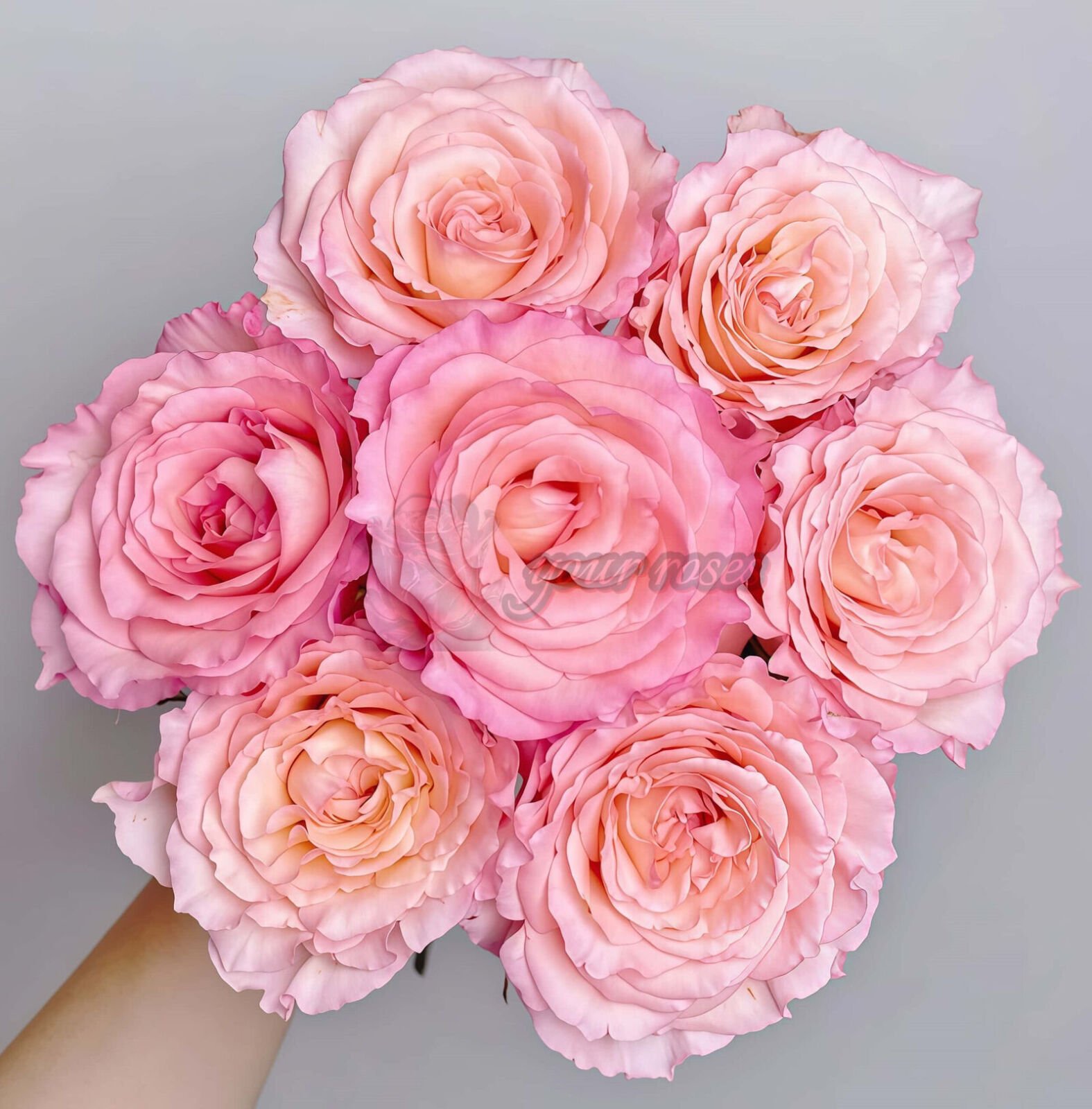 Spring Ballet