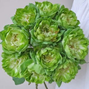 Veggie