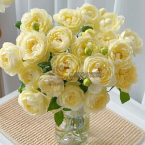 Yellow Ambridge