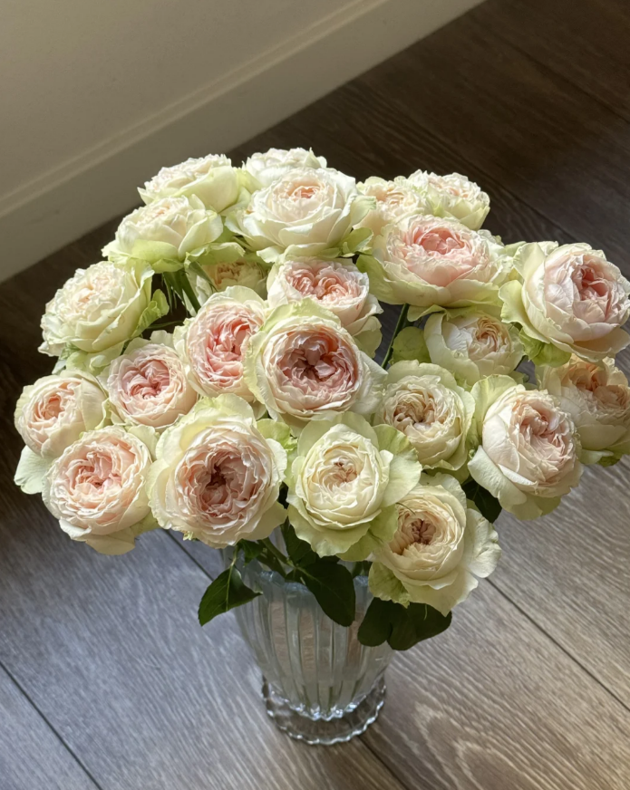 Victoria Bride