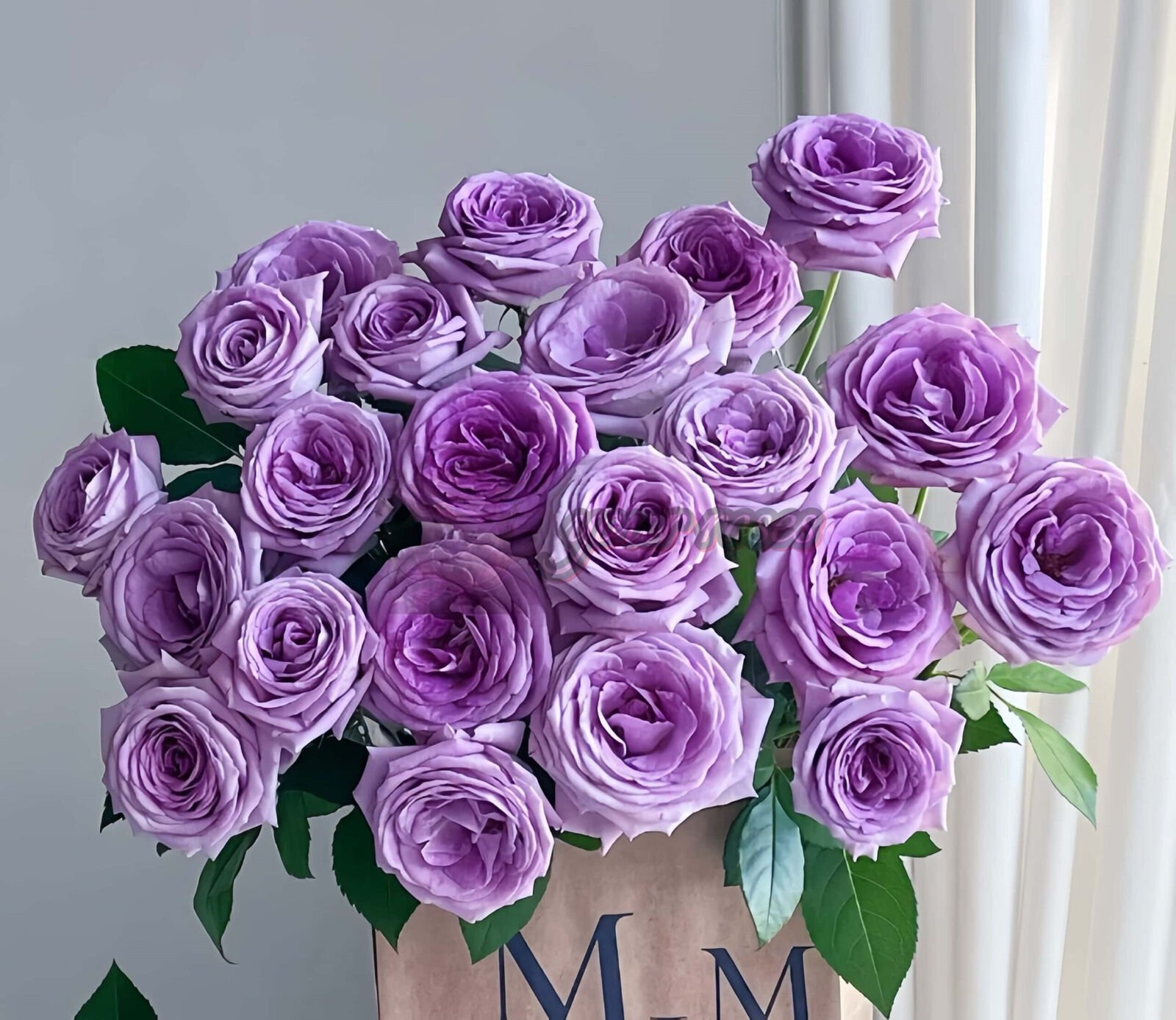 Violet’spride