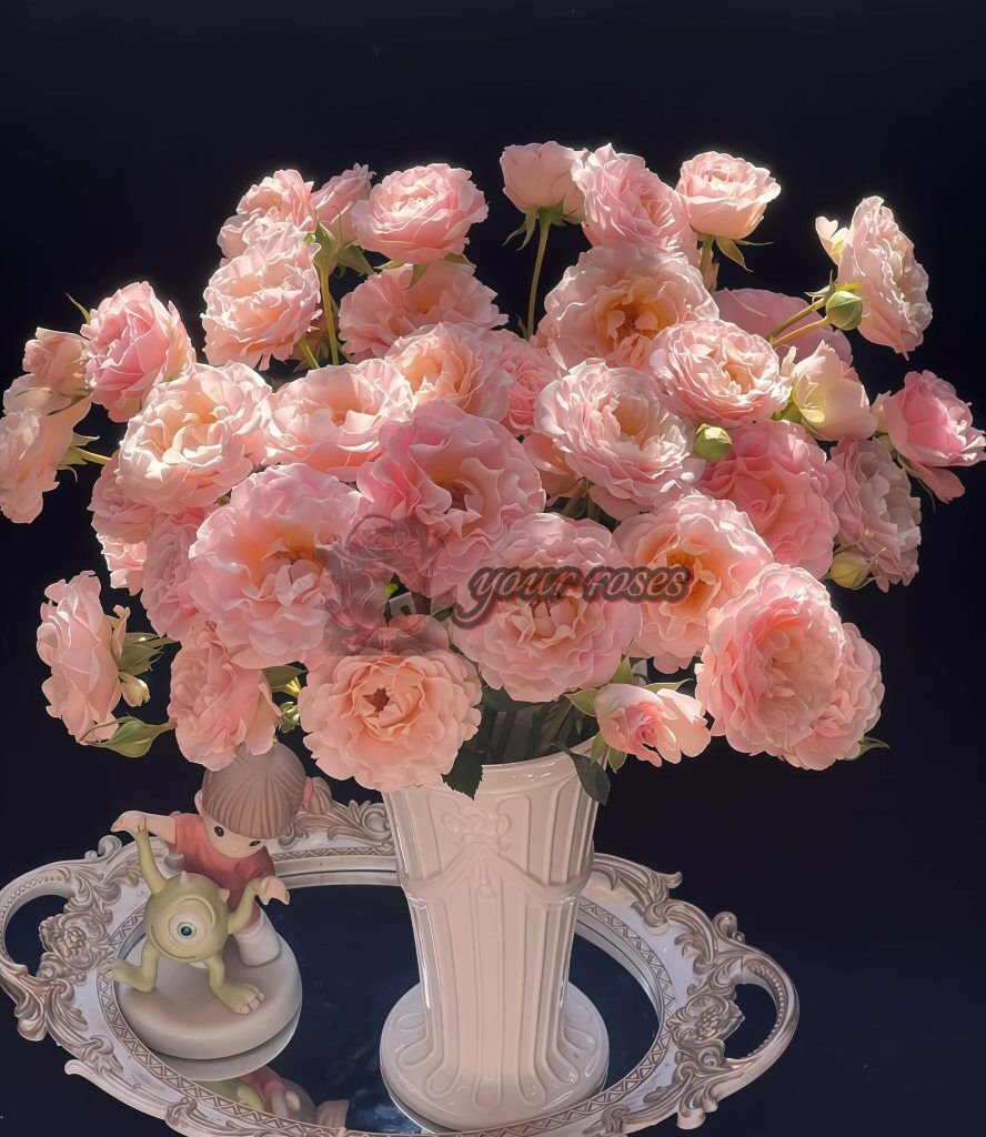 Wed Ros Nir