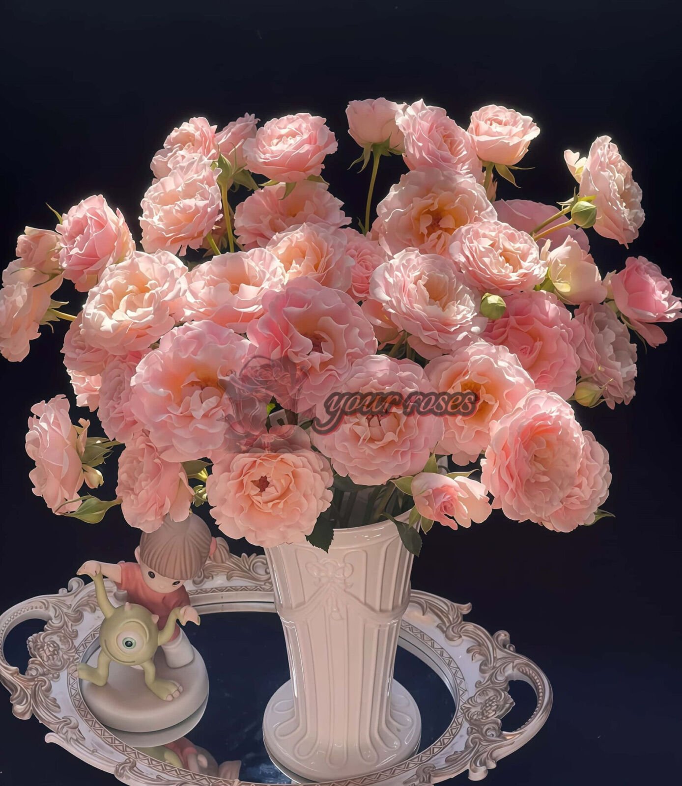 Wed Ros Nir