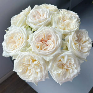 White O′Hara