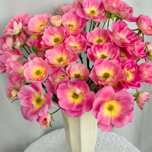 Xizi yanyu