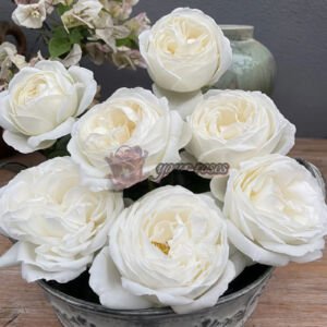 Yves Wedding Road Cloche de Mariage