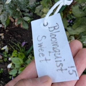 bloomquist-sweet-tag