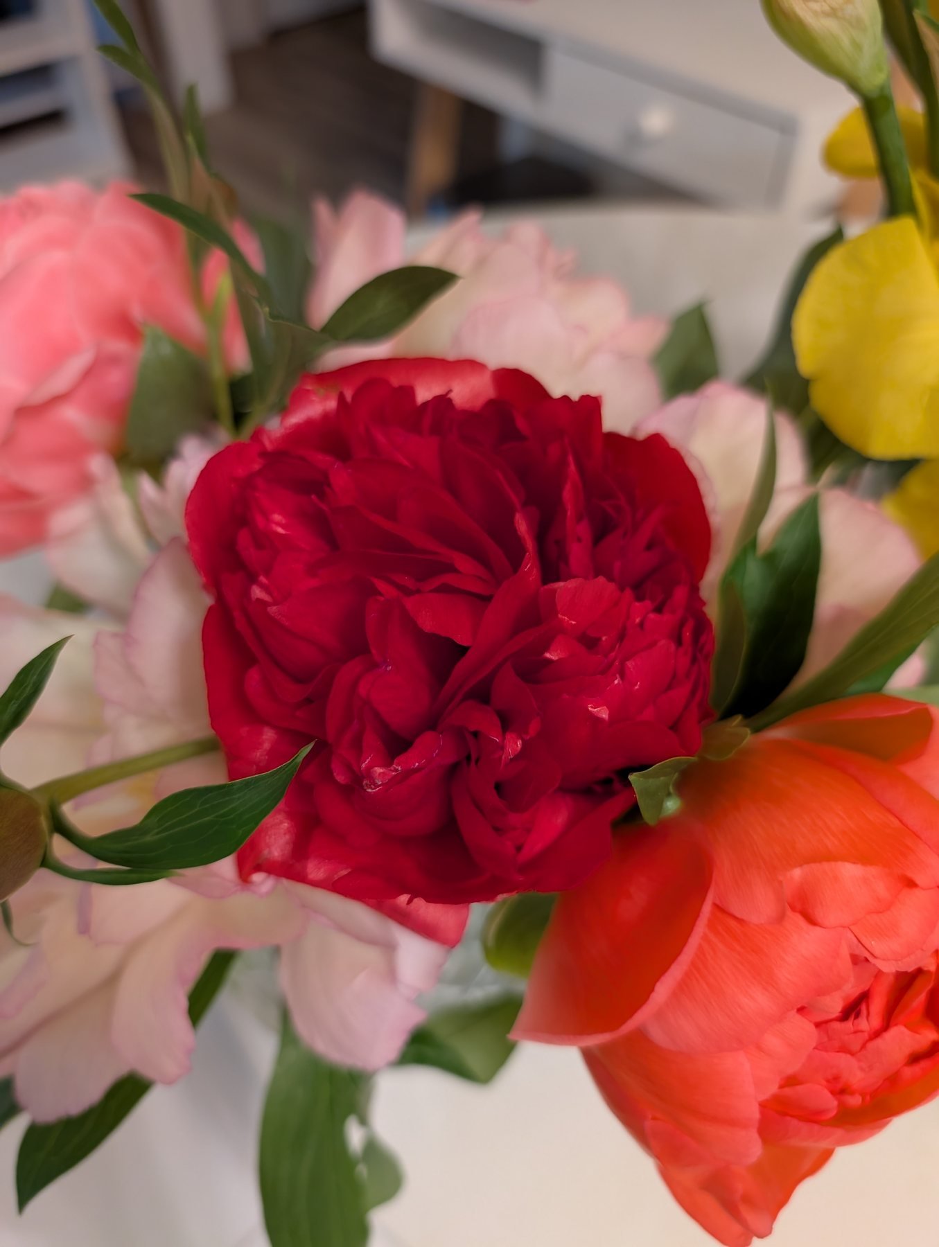 Karl Rosenfield peony with a coral peony and yellow iris
