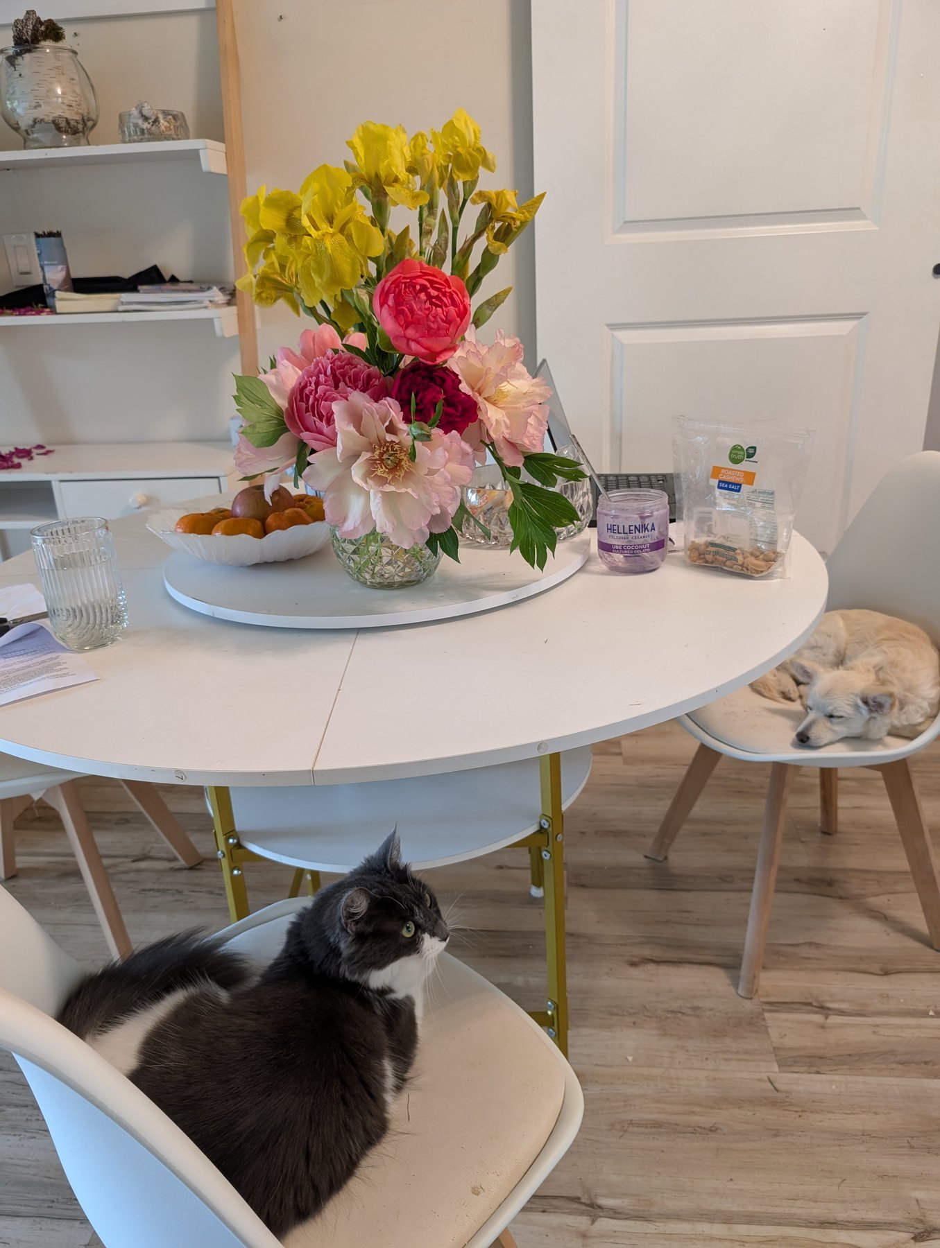 Peony and yellow iris arrangement with Nobu and Yuki