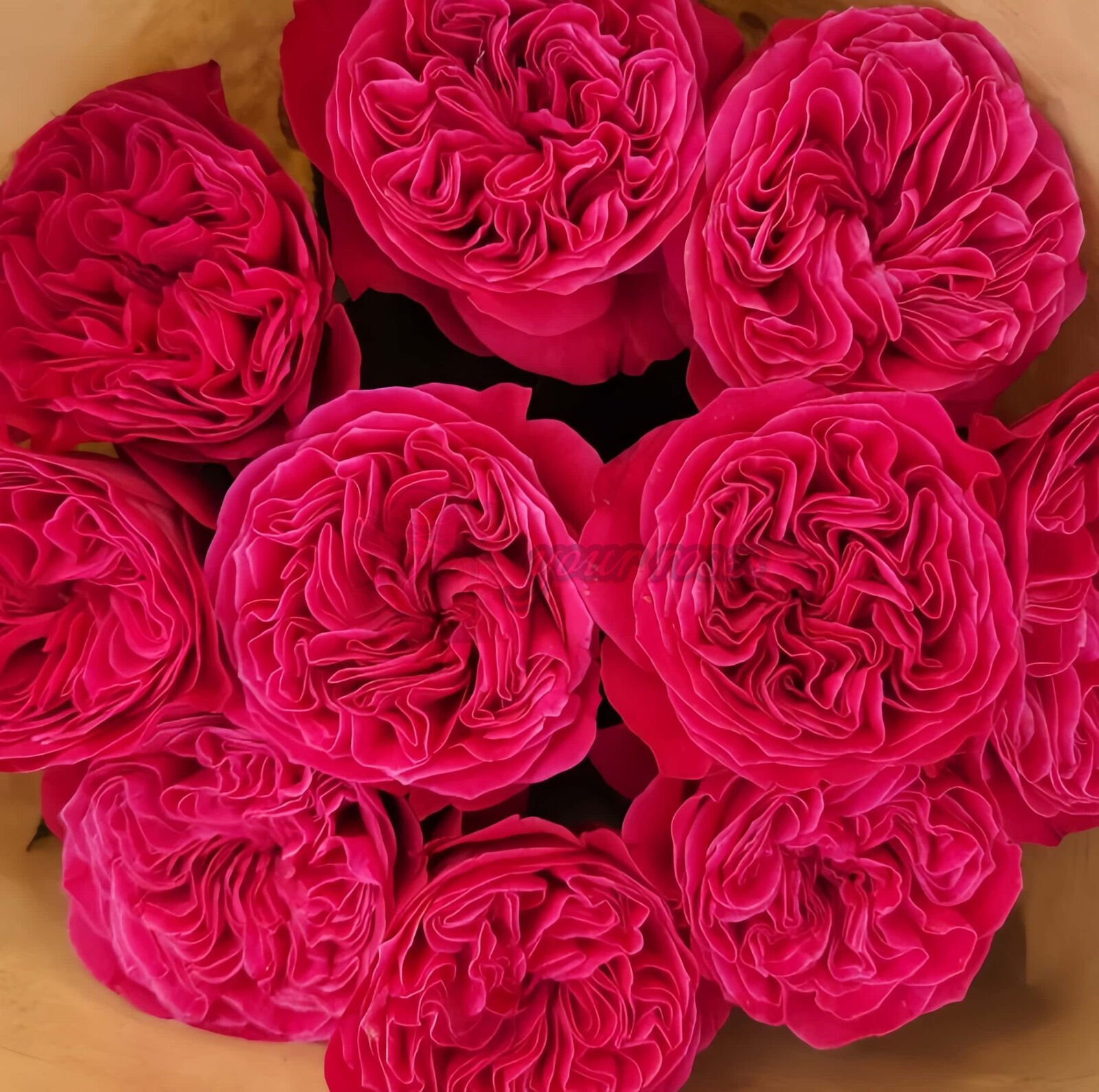 pink n pretty