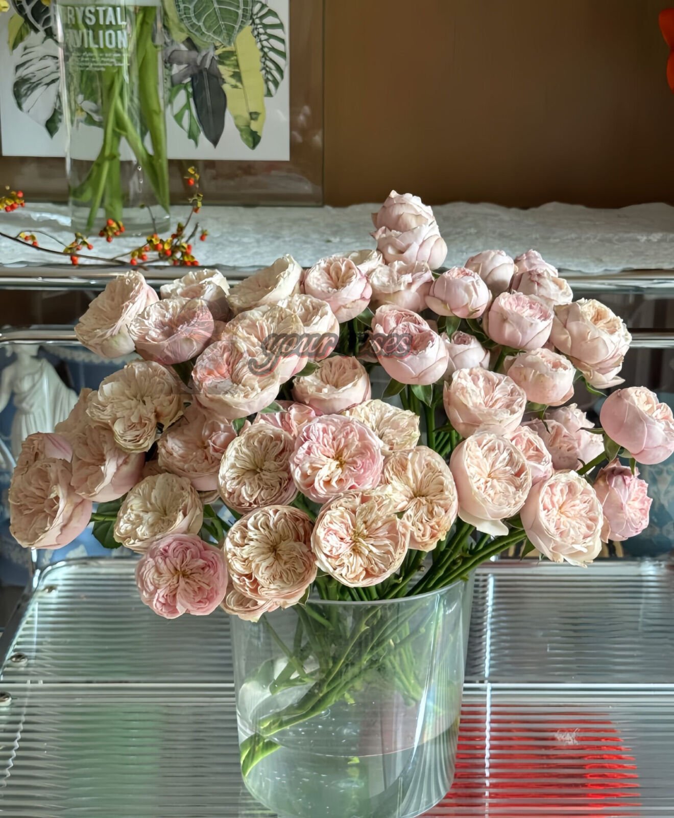 royal blush