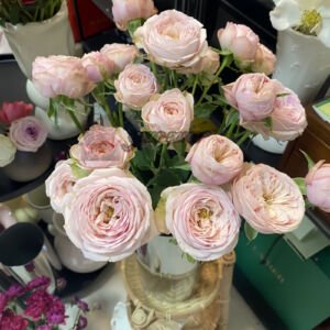 royal blush