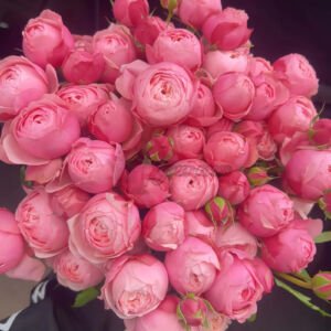silver pink