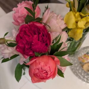 Karl Rosenfield peony, a deep magenta-red double bloom in a table arrangement with pink and coral peonies and yellow iris