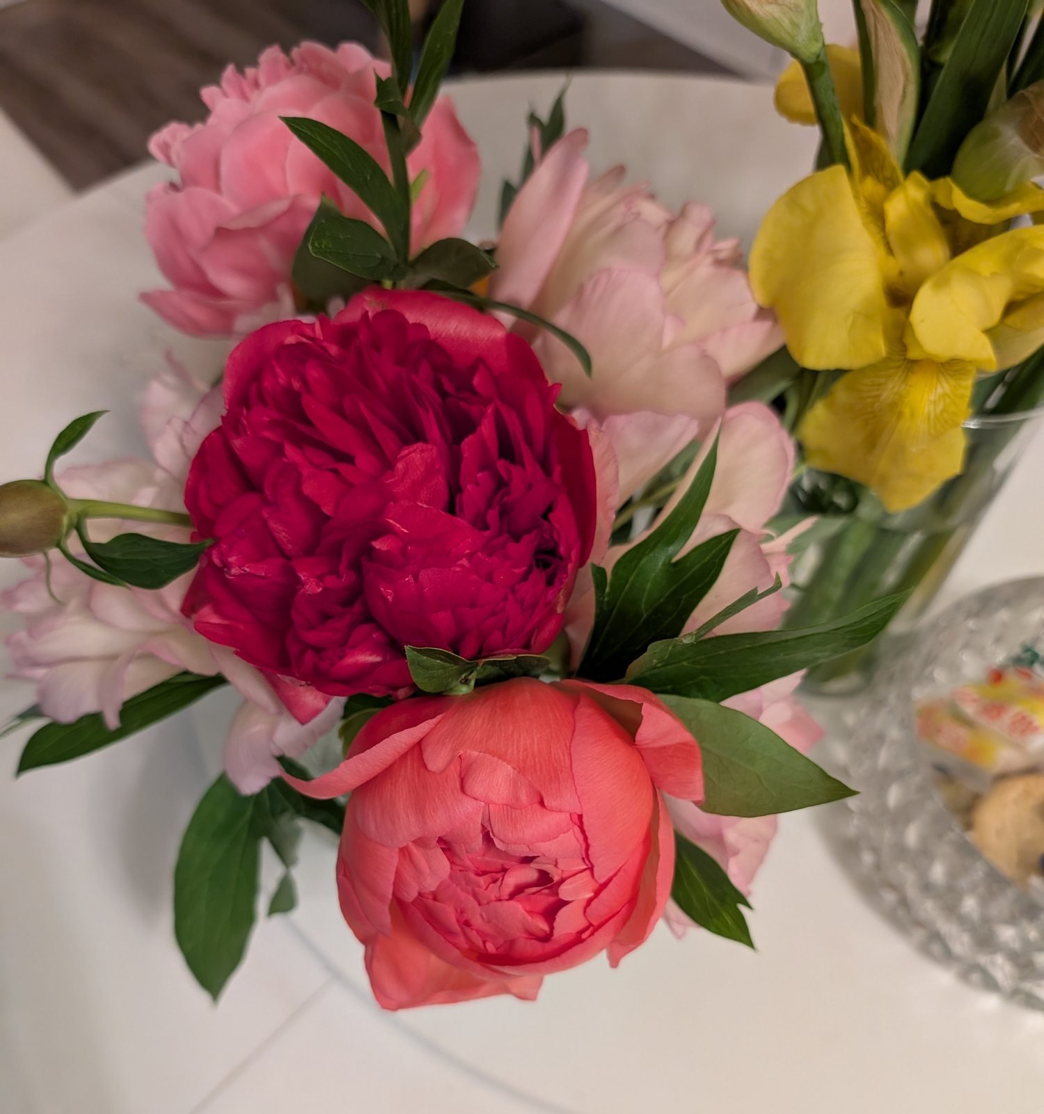 Karl Rosenfield peony, a deep magenta-red double bloom in a table arrangement with pink and coral peonies and yellow iris