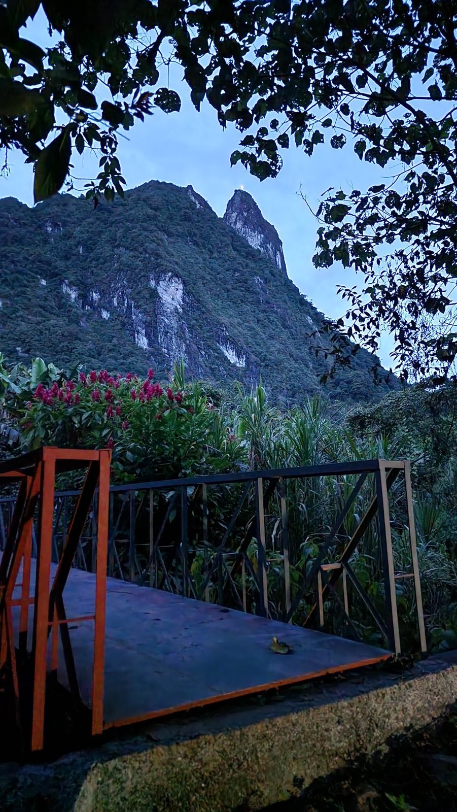Harvested produce in mesh sacks with mountain behind