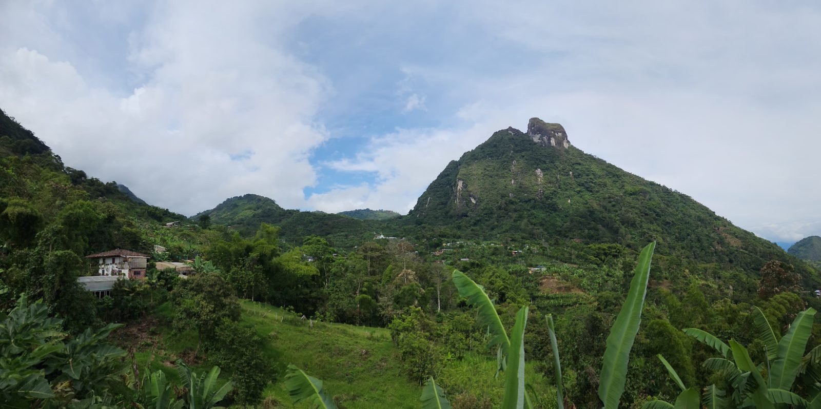 Green mountain landscape of a working farm