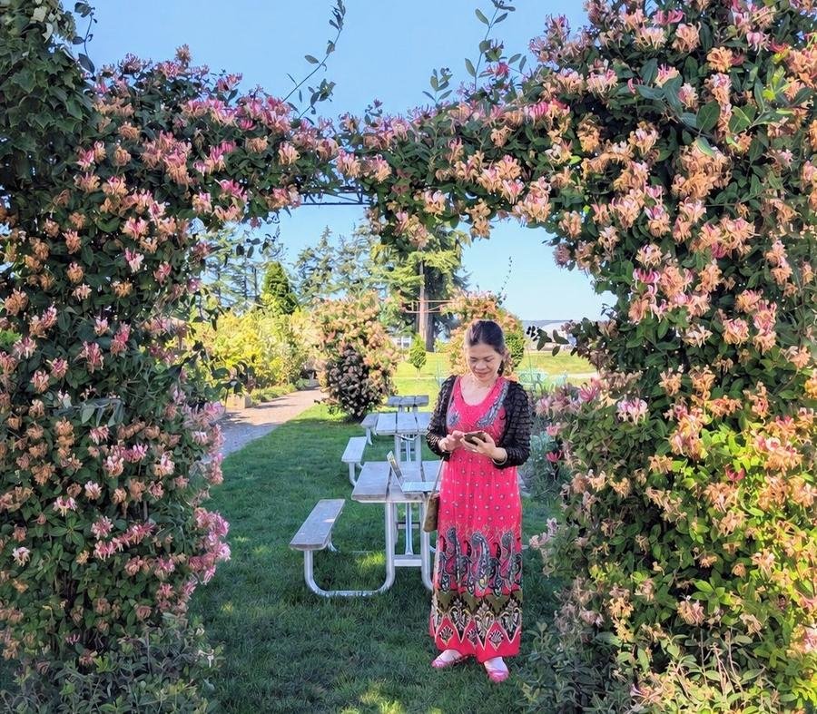 Climbing vines — woman in pink dress under a flowering honeysuckle arch