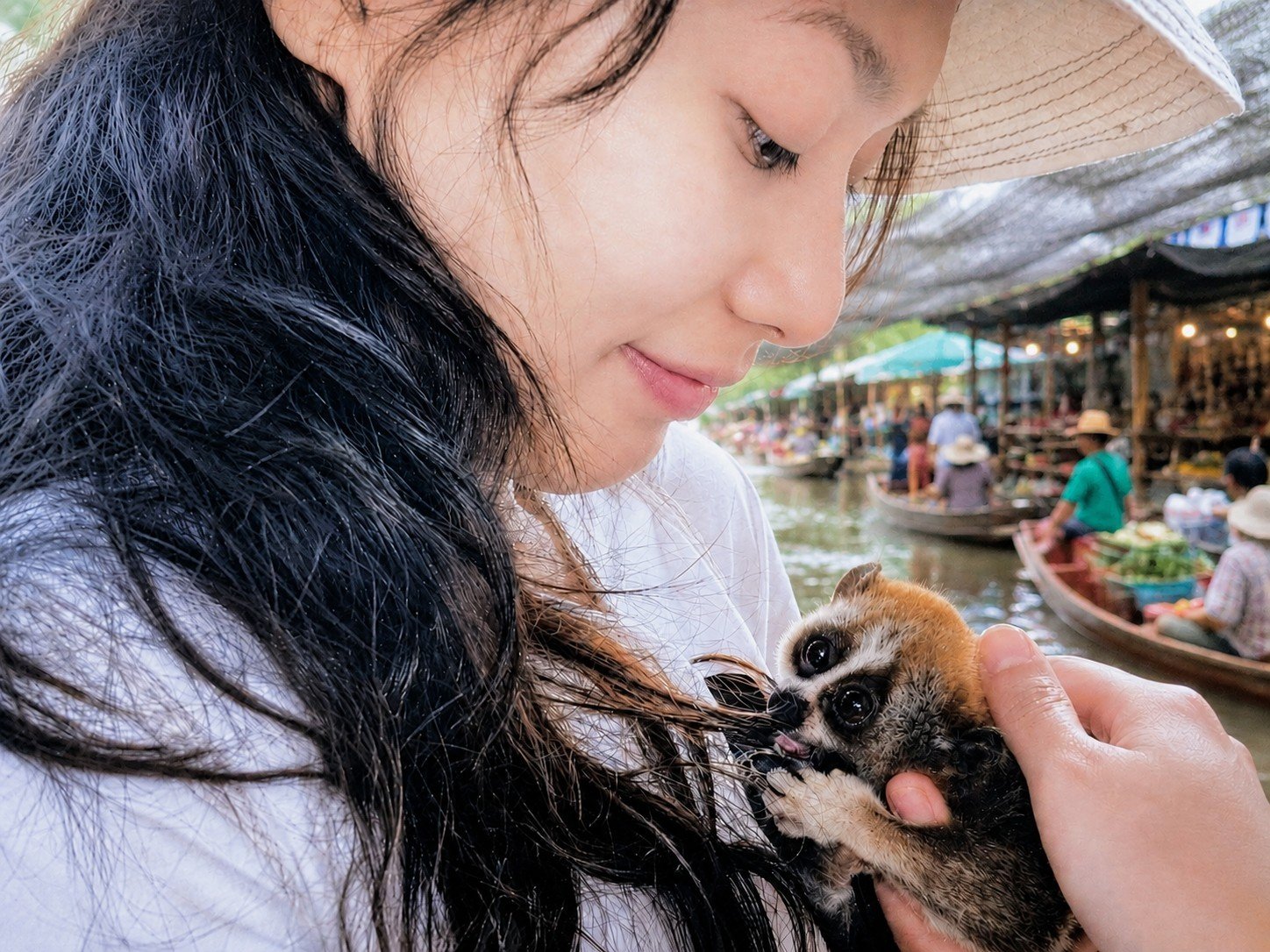 Recognize animal injustice — slow loris being held illegally as a pet