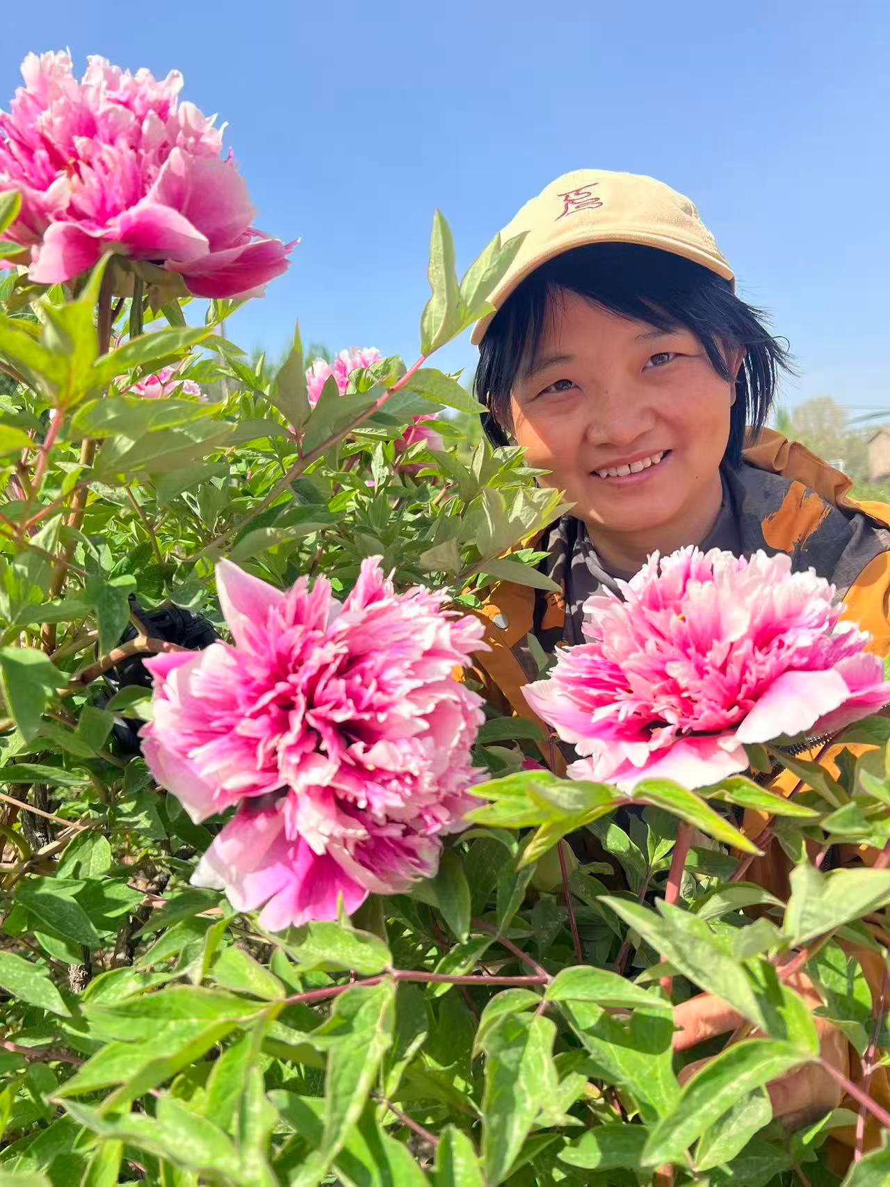 “Fire beacon tower” large flower tree peony
